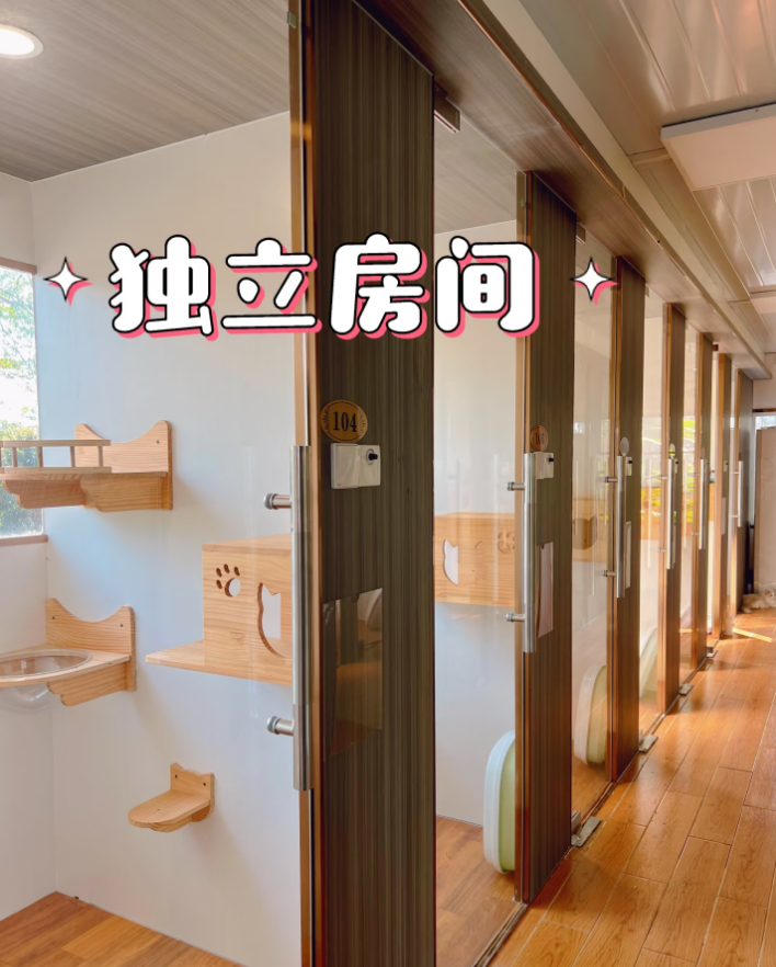 东莞宠物